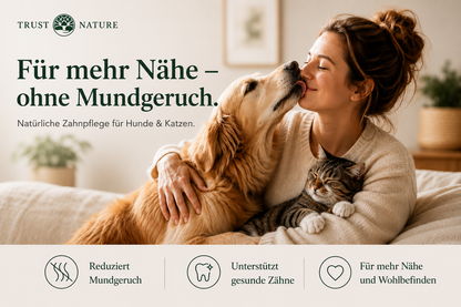 ZAHNPFLEGE (Pulver)