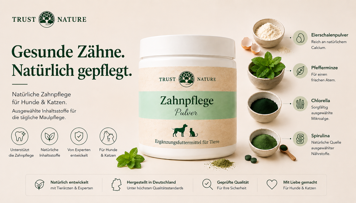ZAHNPFLEGE (Pulver)