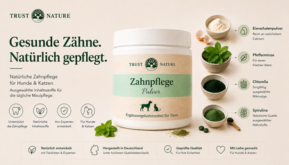 ZAHNPFLEGE (Pulver)
