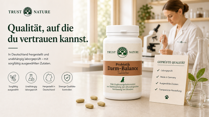 Darm-Balance (Tabletten)