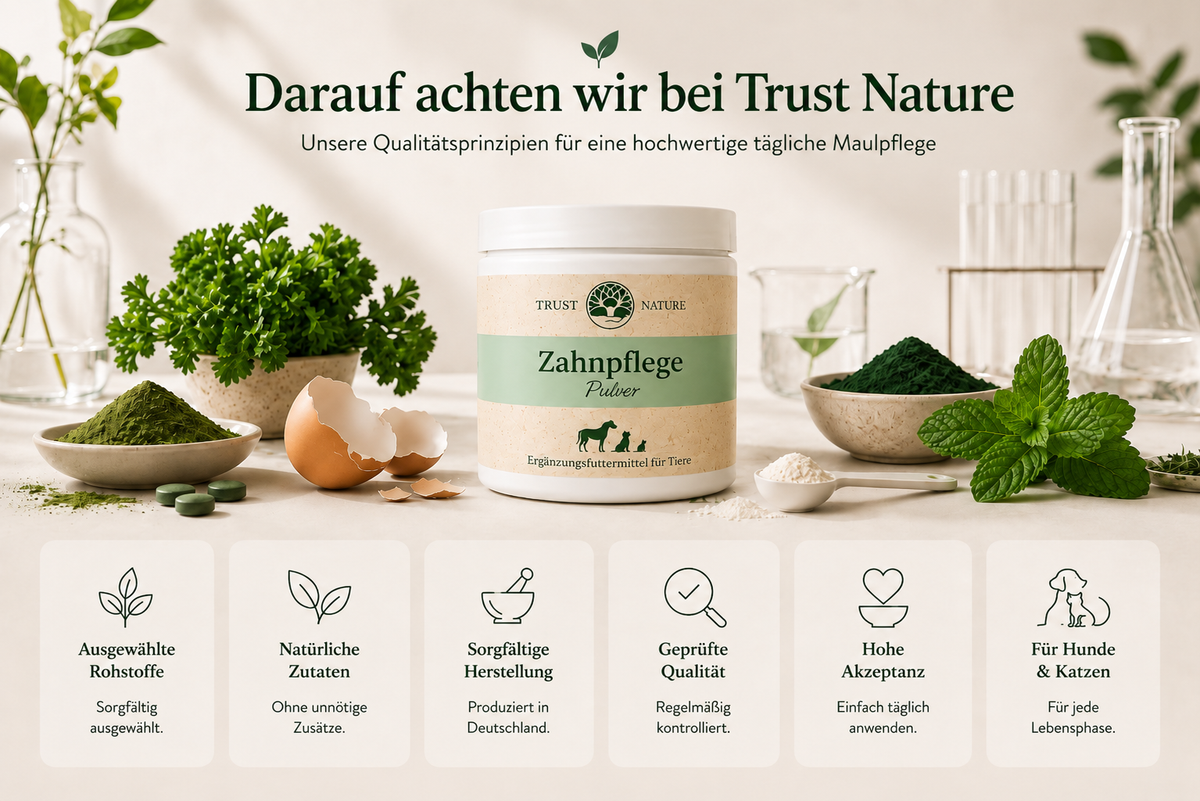ZAHNPFLEGE (Pulver)