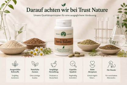 Darm-Balance (Tabletten)