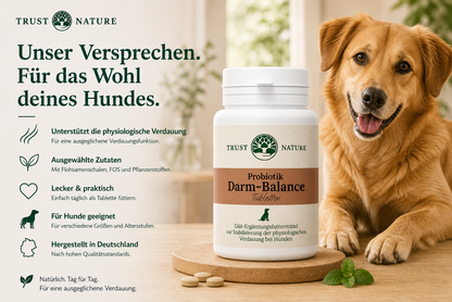 Darm-Balance (Tabletten)