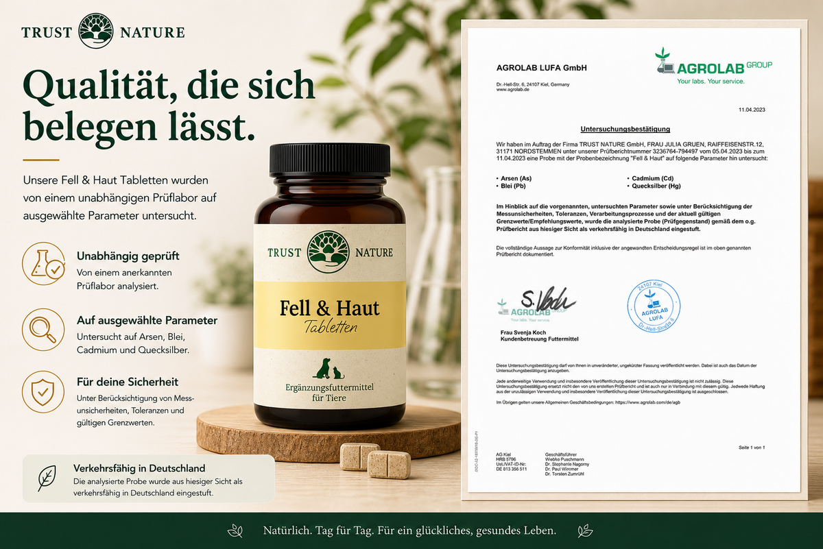 FELL & HAUT (Tabletten)