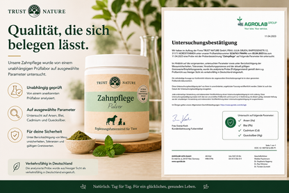 ZAHNPFLEGE (Pulver)