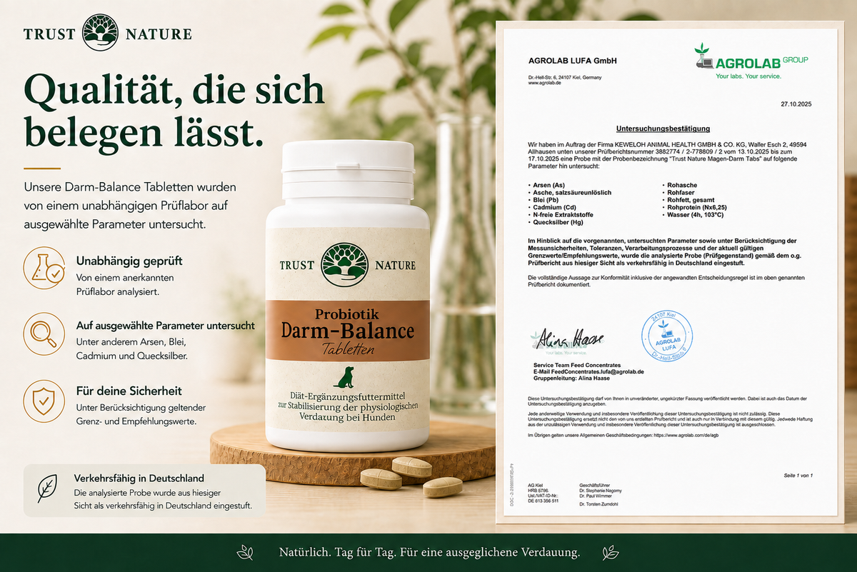 Darm-Balance (Tabletten)