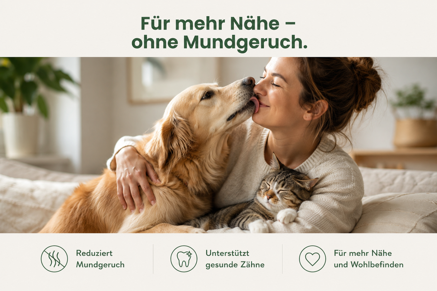 ZAHNPFLEGE (Pulver)