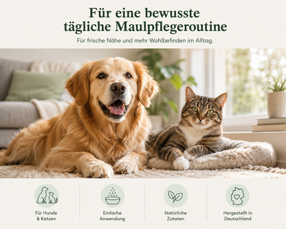 ZAHNPFLEGE (Pulver)