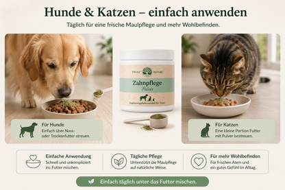 ZAHNPFLEGE (Pulver)