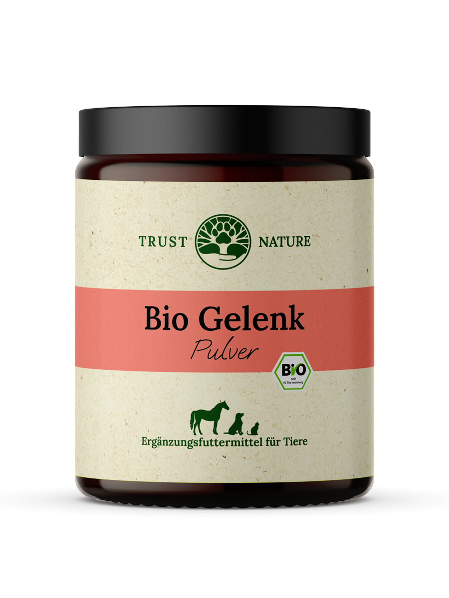 BIO GELENK (Pulver)