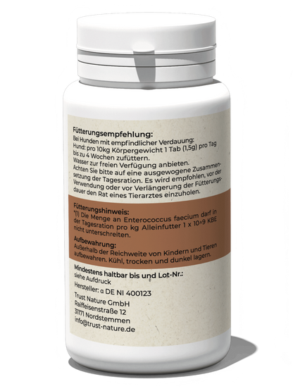 Darm-Balance (Tabletten)