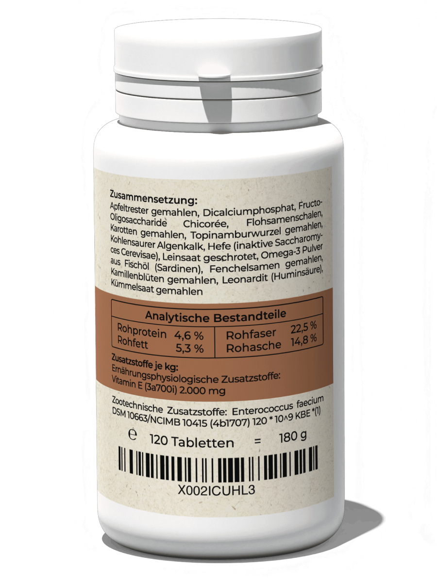 Darm-Balance (Tabletten)