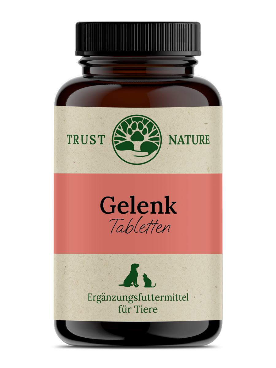 GELENK (Tabletten)
