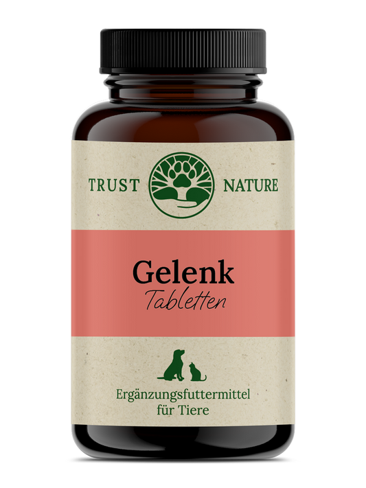 GELENK (Tabletten)