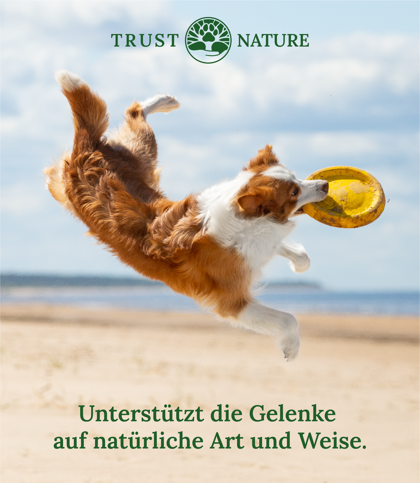 BIO GELENK (Pulver)