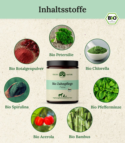 BIO ZAHNPFLEGE (Pulver)