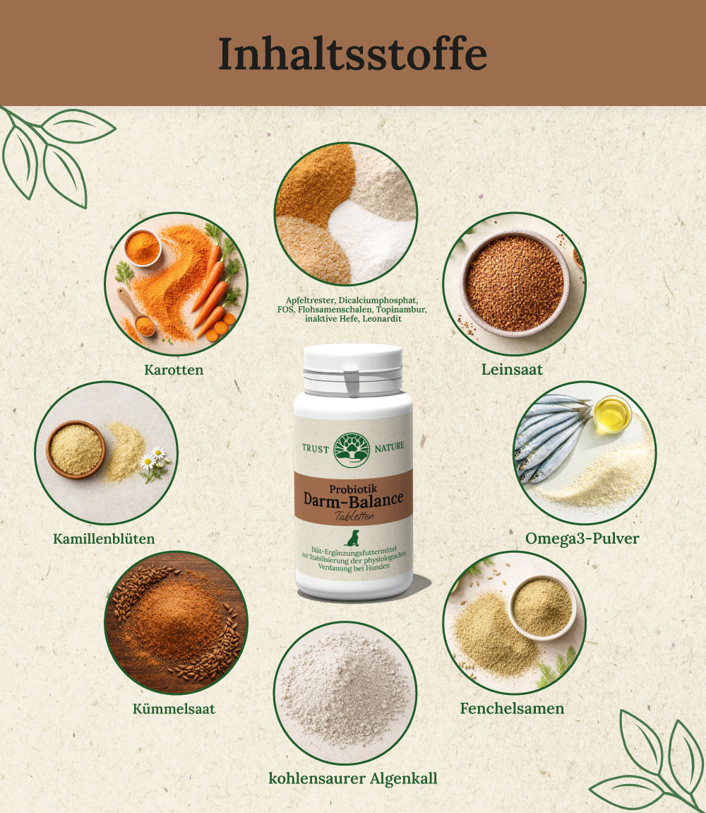 Darm-Balance (Tabletten)