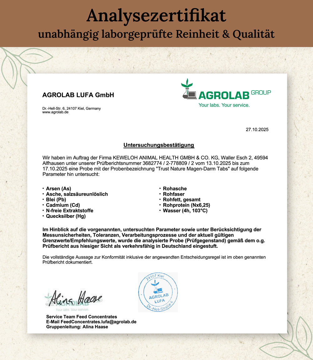 Darm-Balance (Tabletten)