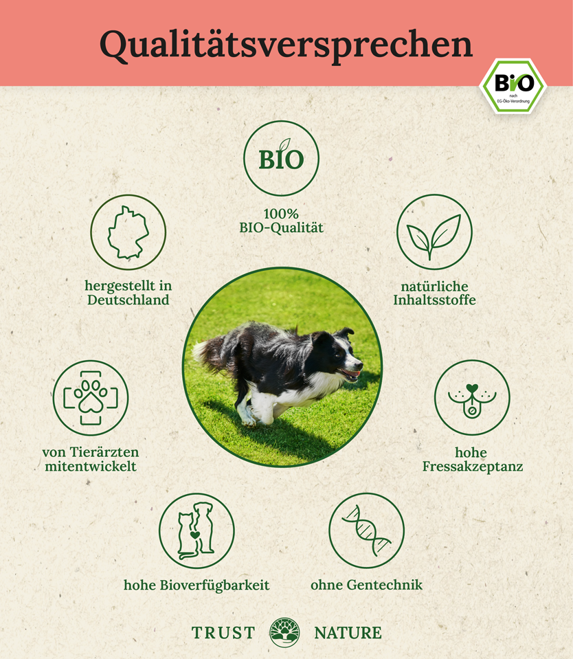 BIO GELENK (Pulver)