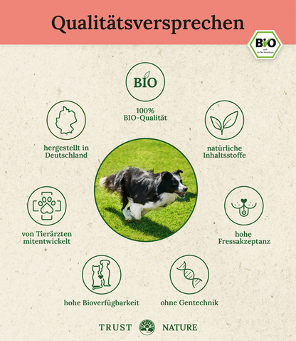 BIO GELENK (Pulver)