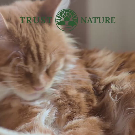 Produktvideo für Fell und Haut Kautbletten