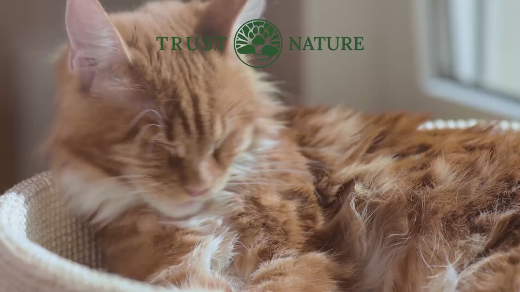 Produktvideo für Fell und Haut Kautbletten