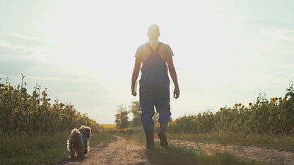 BIO ZAHNPFLEGE (Pulver)