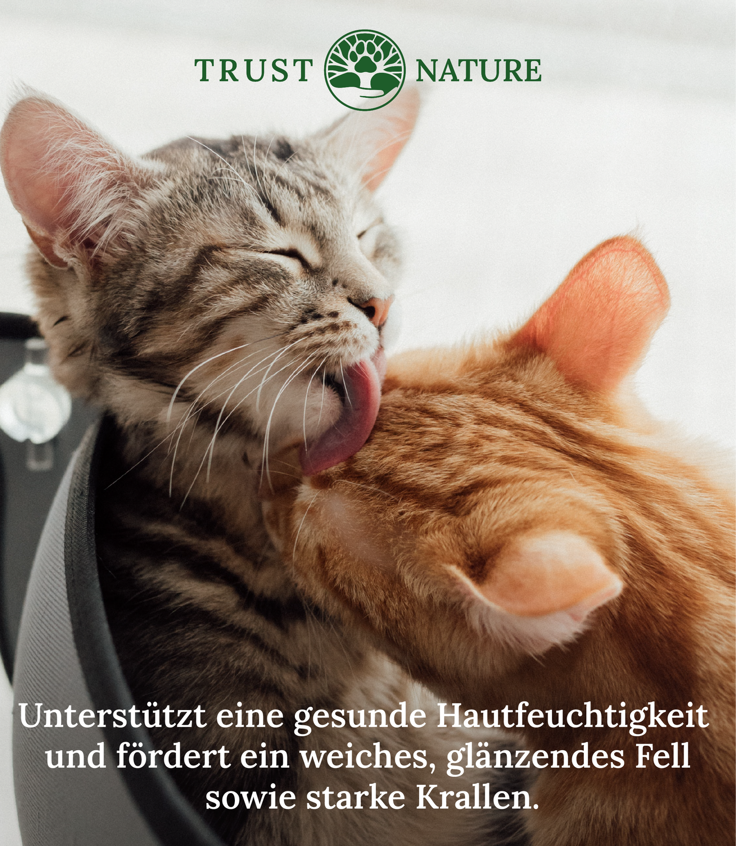 FELL & HAUT (Tabletten)