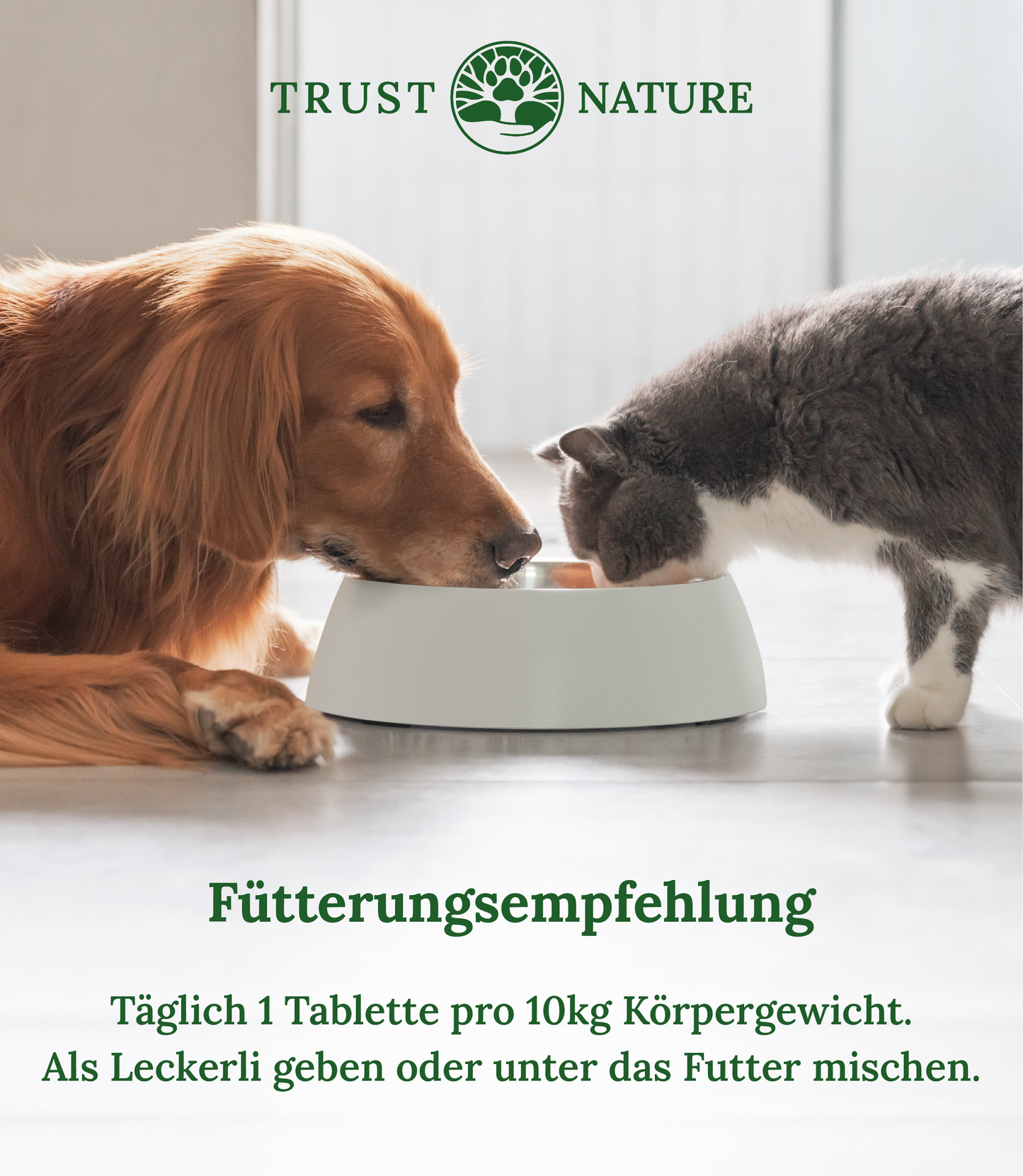 GELENK (Tabletten)