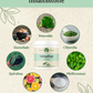 Zahnpflegepulver Inhaltsstoffe: Petersilie, Chlorella, Pfefferminze, Natron, Vitamin C, Spirulina, Eierschale