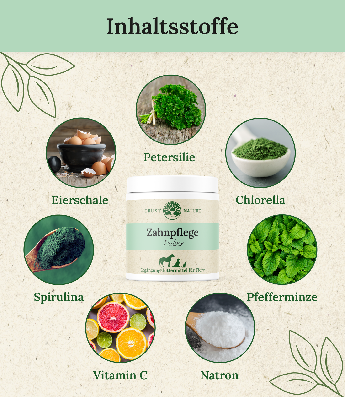 Zahnpflegepulver Inhaltsstoffe: Petersilie, Chlorella, Pfefferminze, Natron, Vitamin C, Spirulina, Eierschale